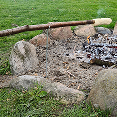 Vinduessøm til stjerthage 10 stk. – hvid